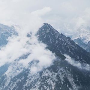 Meet your Posher, Chloe